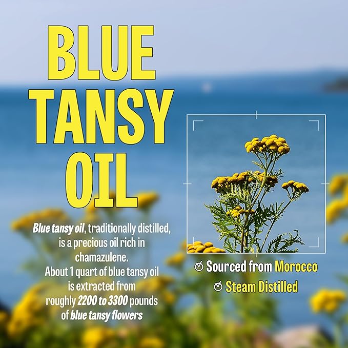 [K-Beauty] Blue Tansy Oil to Foam - All-in-One Korean Face Wash Oil Based Foaming Facial Cleanser - Excess Sebum & Oil Control - Makeup Deep Cleansing Oil for All Skin Types (3.88 fl oz)