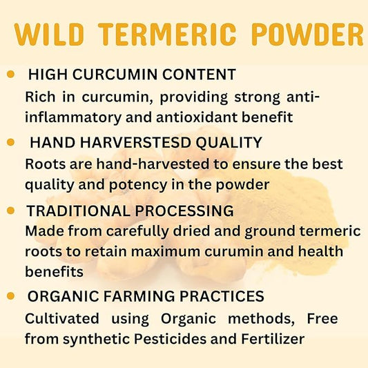 Wild Turmeric Powder 100% Pure Kasturi Turmeric for Face, Skin Care & DIY Beauty – Natural Powder for Acne, Dark Spots & Hyperpigmentation 5.3 oz Resealable Pack
