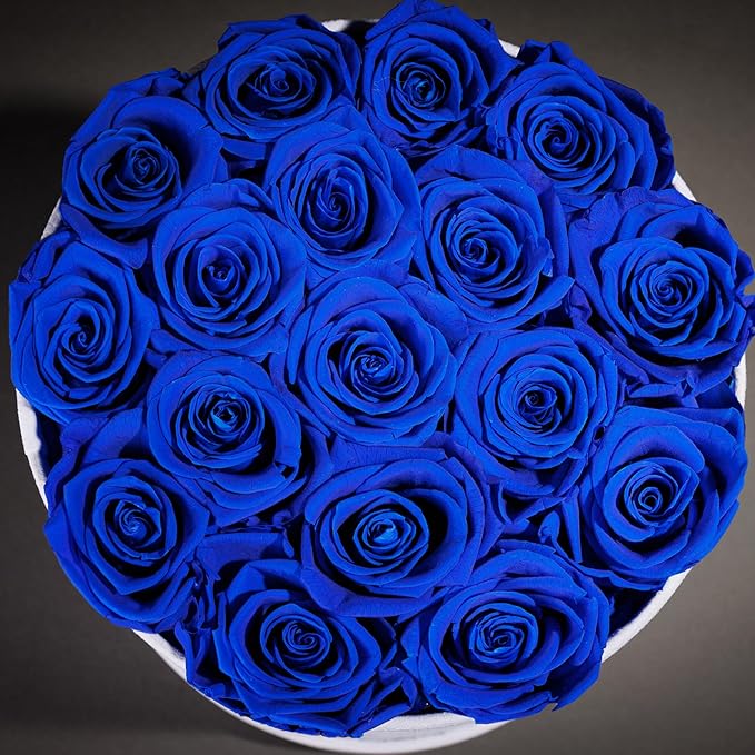 17 Flowers in a Luxury Suede Box, Birthday Gifts for Women, Preserved Flowers, Mothers Day Roses Gift for Mom, Royal Blue