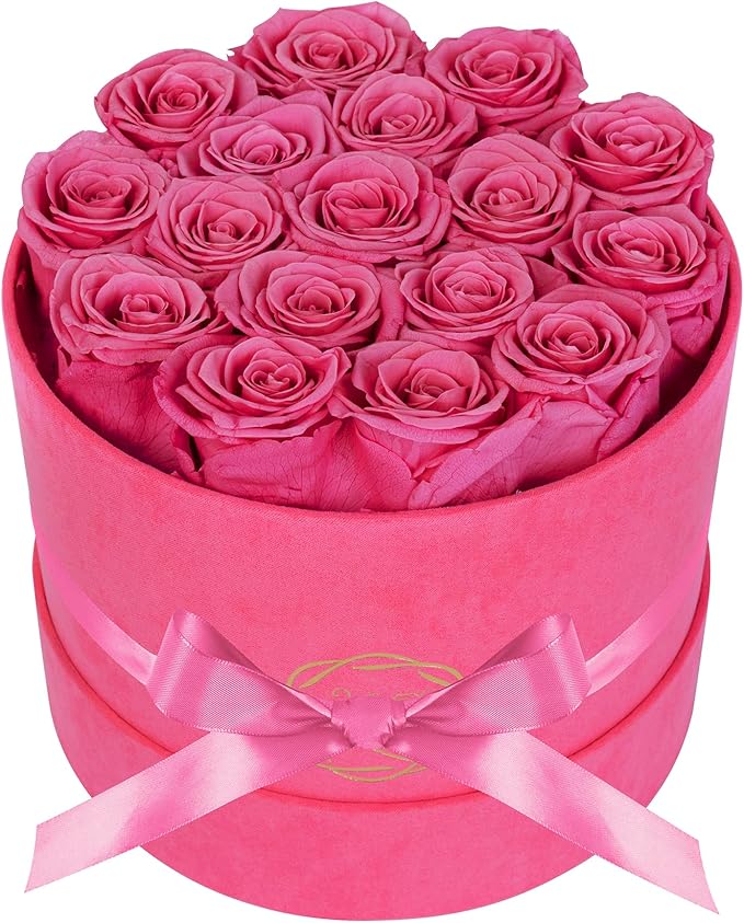 17 Flowers in a Velvet Pink Box, Birthday Gifts for Women, Preserved Flowers, Mothers Day Roses Gift for Mom, Pink