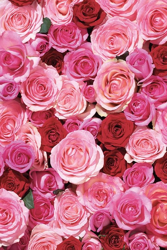 KHADI ROSE LOVE Ayurvedic Elixir Skin & Soul Body Oil, 100% Natural, Herbal & Vegan, Luxurious Beauty Oil Pampering, Regenerating & Nourishing 3.38 oz