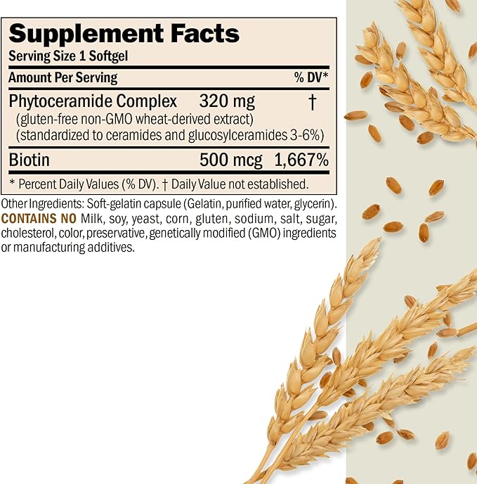 ANDREW LESSMAN Phytoceramides with Biotin 240 Softgels - Skin’s Vital Natural Internal Moisturizer. Naturally Enhances Soft, Smooth, Radiant Skin. No Additives. Small Easy to Swallow Softgels