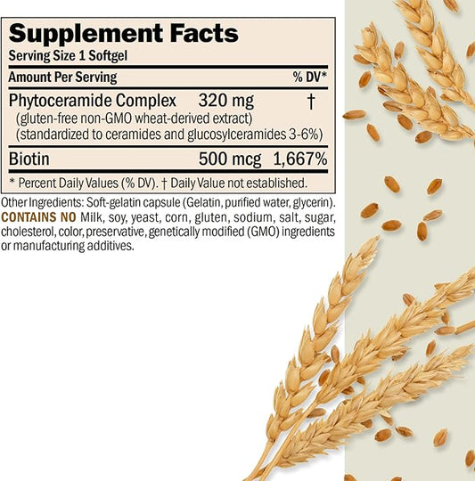 ANDREW LESSMAN Phytoceramides with Biotin 240 Softgels - Skin’s Vital Natural Internal Moisturizer. Naturally Enhances Soft, Smooth, Radiant Skin. No Additives. Small Easy to Swallow Softgels