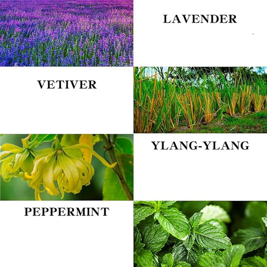 Massage Oil with Lavender and Peppermint Massage Oil for Skin Moisturizing Body Oil Lavender Massage Oil for Men and Women 10.2 fl.oz