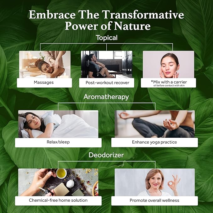 Sherpa Botanicals French Basil Essential Oil - 100% Pure & Natural Oils - Ideal for Diffuser Blends, Aromatherapy, Home Fragrance - Herbaceous Aroma for Home & Wellness - Vegan, Paraben-Free, 15mL