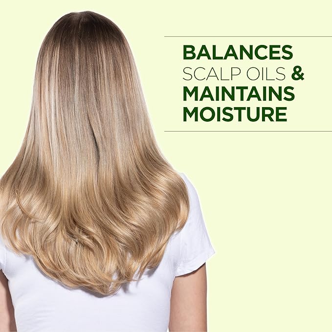 CHI Tea Tree Oil Conditioner, Refreshing, Lightweight Conditioner For Nourishing & Rejuvenating Hair, Sulfate, Paraben, & Cruelty-Free, 11.5 Oz