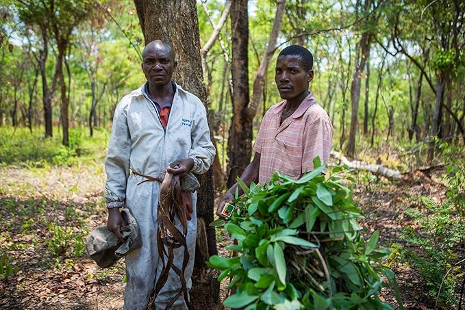 Fair Trade, Organic Beeswax Lip Balm - Variety 4 Pack (Lemongrass, Tangerine, Suncare and Honeybalm) - Ethically Sourced