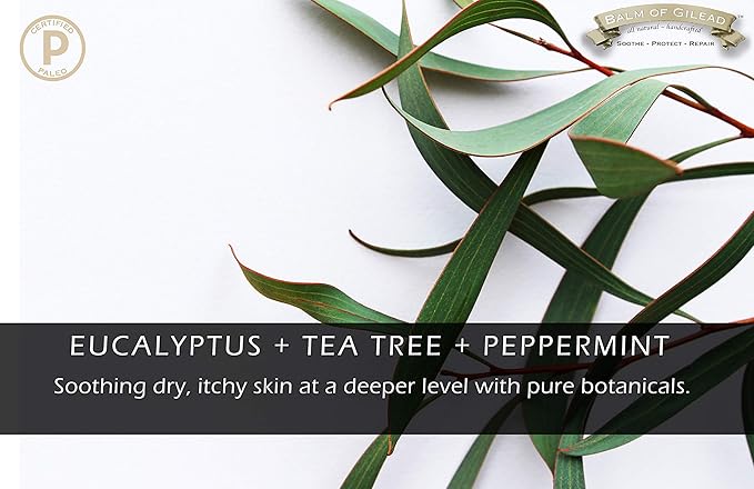 BALM OF GILEAD Foot Cream with Tea Tree and Eucalyptus, Antifungal Cream - Intensive Athletes Foot Treatment for Dry Cracked Heels and Feet, Nail Ringworm Treatment, Body Skin Advanced Soothing Cream