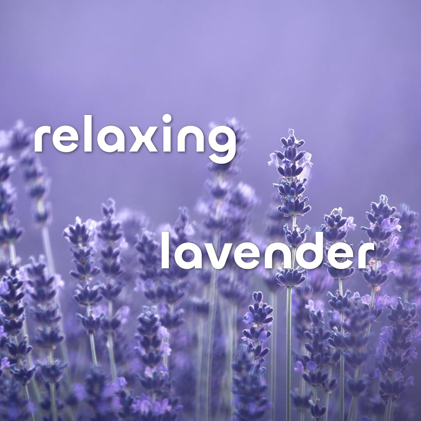 Seaweed Bath Co. Hydrate Body Wash - Lavender - Hydrating Foaming Cleanser with Soothing Natural Ingredients - Vegan, Paraben and Sulfate Free Shower Gel for Men and Women - 12 oz