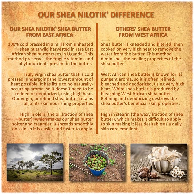 Shea Terra Organics 100% Organic Cold-Pressed Virgin Shea Butter - Ghana Gold | Natural Daily Skin Cream for Dry Skin, Itchy Skin, Stretch Marks, Psoriasis, Eczema & other skin conditions – 6 oz