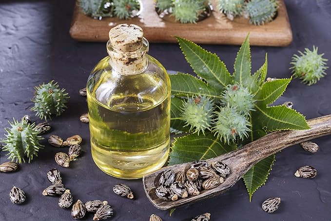 Dr Joe Lab Jamaican Black Castor Seed Oil 16 oz Pure Natural Black Castor Oil Partially Refined Cold Pressed JBCO - for Hair Skin Body Eyebrow Eyelash - Moisturizing & Nourishing