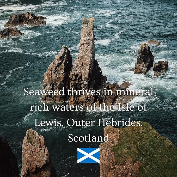 Ishga Organic Nourishing Face Oil | Scottish Seaweed, Jojoba, Almond Oil, Rose Geranium | Vegan, Cruelty-Free | 1.69fl oz (50ml)